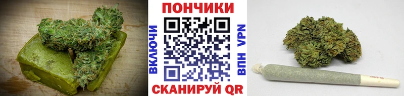 как найти наркотики  Балахна  Еда ТГК конопля 