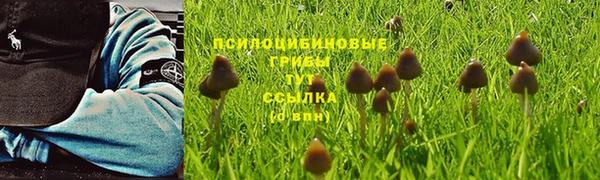 mdma Валдай