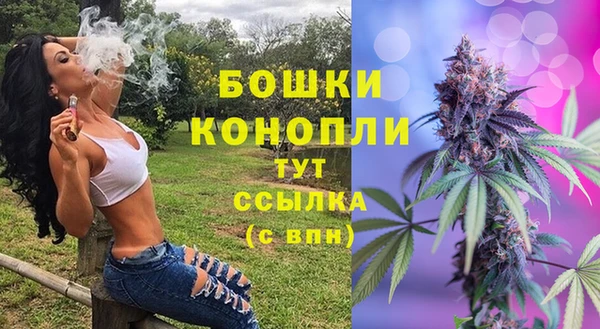 ALPHA PVP Анжеро-Судженск