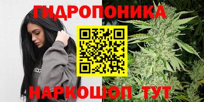 гидра Апрелевка