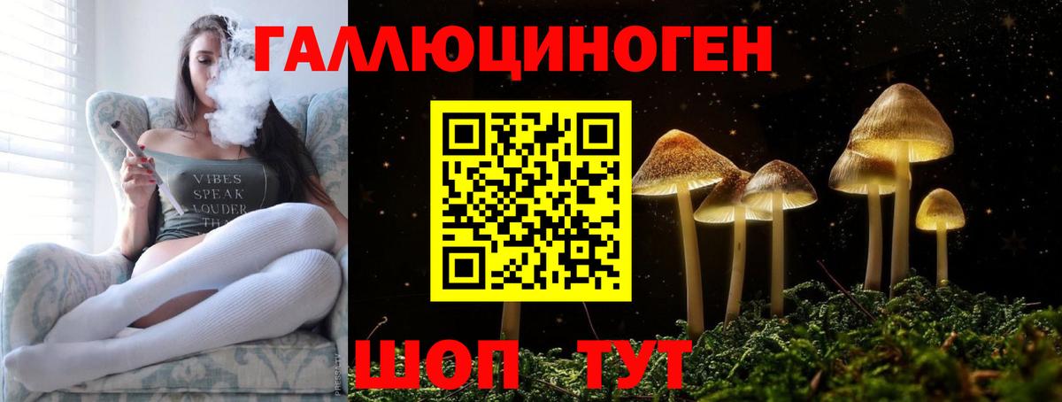 Псилоцибиновые грибы прущие грибы  хочу   Балахна  Вход с VPN 