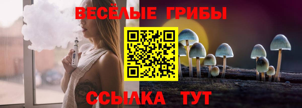 Псилоцибиновые грибы Psilocybe  Балахна 